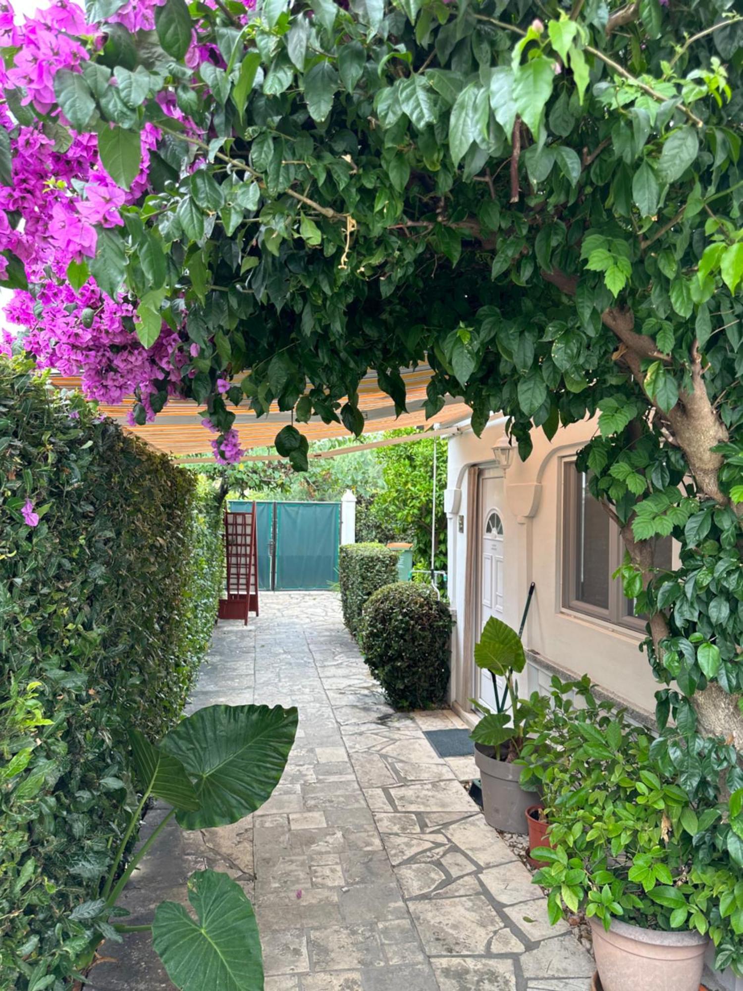 Luxury Residence Zola Zadar Exterior foto